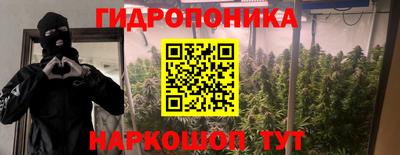 соль ск Моздок