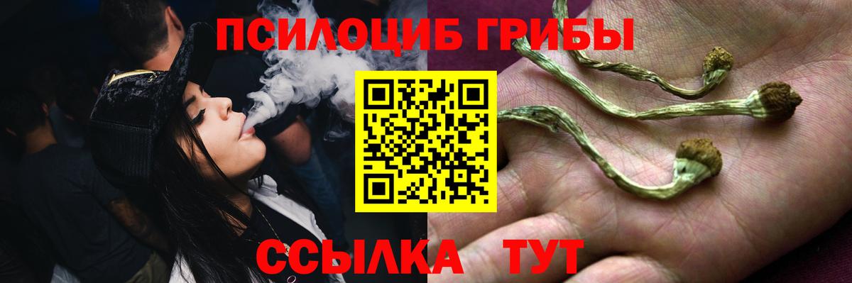 Псилоцибиновые грибы мицелий Гай